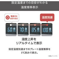 ヘアアイロン 薄型ヘッド スリムプレート 温度調整/ロック/メモリー機能 開閉ロック グレー NIS300A-H テスコム 1個