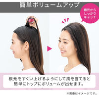 くるくるドライヤー カールドライヤー マイナスイオン 豚毛ブローブラシ 豚毛ロールブラシ TC530A-N テスコム 1個（直送品）