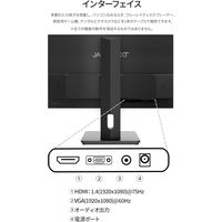 21.5インチ 液晶ディスプレイ(1920x1080/IPS/非光沢/HDMI/VGA/チルト/高さ調整/ピボット) JN-I215FLFHSP 1個