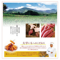 日本食品開発促進（株）（冷食） [冷凍] 日本食品開発促進 国産さつまいも使用カリカリ食感がクセになる大学芋 120g×20個（直送品）