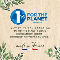インテリアガーデンナチュール オレンジ＆グリーンティー フレグランスリフィル 芳香剤 詰め替え 250ml 1個 日本香堂