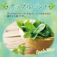 【旧品 在庫処分】エステー トイレの消臭力スプレー アップルミント