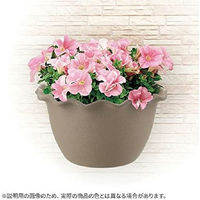 リッチェル ソレシア 壁かけ 28型N アイボリー 4945680712743 1個（直送品）