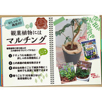 花ごころ コンテナガードＭ 3L 4977445206006 1袋(3L入)（直送品）