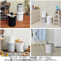 JEJアステージ フェルマー 10 ブラック 4528302650038 1ケース(6個入)