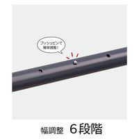 伸晃 クローゼット吊り下げハンガー 伸縮タイプ ブラック (1セット:3個入) 4964806024447 1セット(3個入)（直送品）