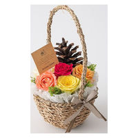 【生花】アデリー ホシファーム『お花畑から摘んできた薔薇ギフト』カラフル＆ホシフルーツクグロフ４個 FMJ-01C 1箱（直送品）