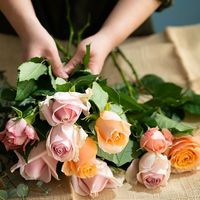 【生花】アデリー スタンディングブーケ　ピュア８本　タグ付き「ご結婚おめでとうございます」 FMZ-01B-B 1箱（直送品）