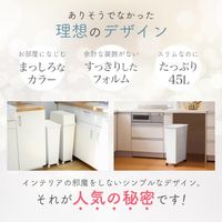 天馬 ゴミ箱 蓋 フラップスリムフタ ホワイトラッシュ スマートペール専用 4904746148315 1個