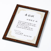 ナカバヤシ 樹脂製賞状額 金ラック A3 フーKWP-20 1枚