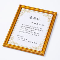 ナカバヤシ 樹脂製賞状額 金ケシ 尺七 フーKWP-34 1枚
