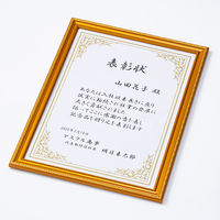 ナカバヤシ 樹脂製賞状額 金ケシ 大賞 フーKWP-41 1枚