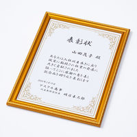 ナカバヤシ 樹脂製賞状額 金ケシ A3 フーKWP-40 1枚