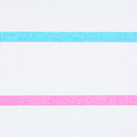 パイロット 蛍光ペン スポットライターVW ピンク＆ブルー SVW-15SL-PL 1セット（10本）