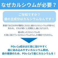 マウスウォッシュ 液体ハミガキ Pos-Ca デンタルリンス クリアミント ノンアルコール 600ml 1セット（6本）ロケット石鹸