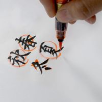 パイロット 筆ペン 瞬筆 本格毛筆 中字 朱 SVS-70FDM-SHU 1本