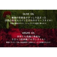 Deve（ディブ） オリーブ&アルガン クレンジングオイル 詰替 450ml 5個 熊野油脂 大容量