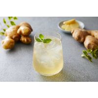 ヤマモリ 炭酸割り専用ビネガー クラフトジンジャー味 12倍希釈 190ml 2本