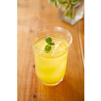 ヤマモリ 砂糖無添加 愛媛いよかん黒酢 500ml 2本