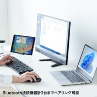 サンワサプライ ワイヤレスマウス 無線 Bluetooth 6ボタン 中型 ブルーLED MA-BBHT616BK 1個（直送品）