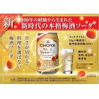 チューハイ 酎ハイ CHOYA ザ・チョーヤ 熟成一年本格梅酒ソーダ 350ml 2ケース（48本）