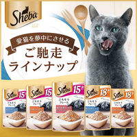 シーバ リッチ キャットフード 猫 18歳以上 3種のセレクション 鶏ささみと海のアソート（35g×6袋入）10個 パウチ ウェット