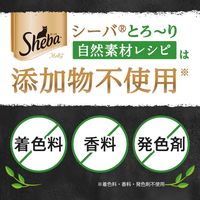 シーバ とろ～り メルティ 自然素材レシピ まぐろ味セレクション 12g×20P 2袋 キャットフード 猫 おやつ
