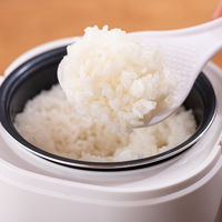 アルファックス・コイズミ 2合炊き ミニライスクッカー ARCーT2001/W 1台