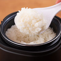 アルファックス・コイズミ 2合炊き ミニライスクッカー ARCーT2001/K 1台