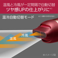 小泉成器 ダブルファンドライヤー KHDーW900/R 1台