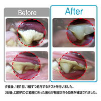 フォーキャンス デンティ・スリーフェアリー EX 120g SS 超小型犬用 20個入り 153054 1袋（直送品）