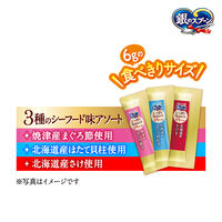 銀のスプーン とろリッチ 3種のシーフード味 108g（6g×18本）2袋 ユニ・チャーム 猫用 おやつ