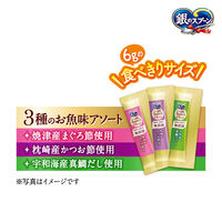 銀のスプーン 無添加 とろリッチ 3種のお魚味アソート 国産 108g 2袋 キャットフード 猫用 ウェット おやつ
