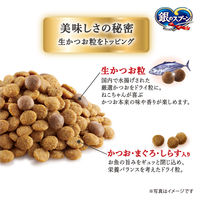 銀のスプーン国産生かつおin 15歳頃から 1.0kg（小分けパック3袋入）3袋 キャットフード 猫 ドライ