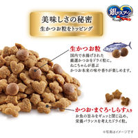 銀のスプーン 国産生かつおin 毛玉ケア 1.0kg（小分けパック3袋入）3袋 キャットフード 猫 ドライ