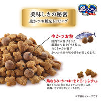 銀のスプーン 国産生かつおin 鶏ささみ 1.05kg（小分けパック3袋入）3袋 キャットフード 猫 ドライ