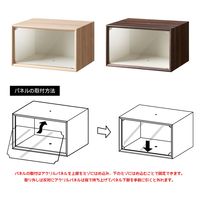 【軒先渡し】朝日木材加工 スニーカーボックス・コレクションケース ブラウン LFM-2040BX-DB 1台（直送品）