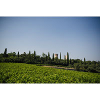 【サクラワインアワード ゴールド】イタリア パスクァ ビアンコ ヴェネト 白ワイン やや辛口 750ml 1本 国分