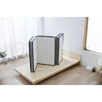 アイリスオーヤマ 三つ折りポケットコイルマットレス シングル PMTS11H-3S 1枚