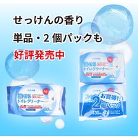 iiもの本舗 流せるトイレクリーナー ミントの香り 4589596693774 1袋(30枚)