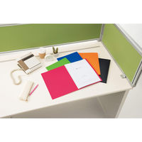 ライオン事務器 クリアーブック A4サイズS型 20枚 CR-20M グリーン 14357 1冊