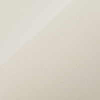 春日製紙工業 ニューズペーパータオルエクリュライト中判(レギュラーサイズ)200枚 520894 1パック