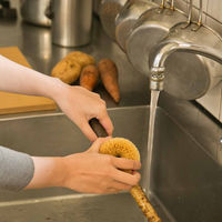 亀の子束子 白いたわし ホワイトパーム（小）ゴシゴシしっかり洗える ベーグル型 タワシ 1個 亀の子束子西尾商店