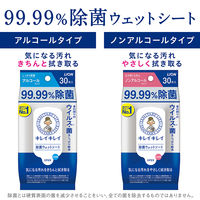 ウェットティッシュ　除菌シート　キレイキレイ99.99%除菌ウェットシート 1セット（30枚入×6個）