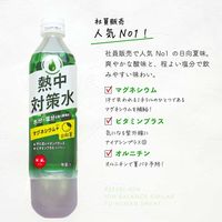 熱中対策水日向夏味 500ml 1セット（48本）