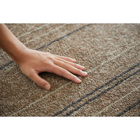 スミノエ 洗える ラグ ワイヤーライン 170×220cm ブラウン 4549781297378 1枚