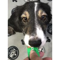 （バラエティパック）いなば ちゅーる 犬 とりささみバラエティ 総合栄養食 国産（14g×20本）2袋 ちゅ～る ドッグフード ウェット おやつ