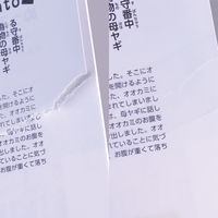 Neschen 透明紙テープ フィルム プラスト P 40mm幅×50m巻 白 FPP-425 1個