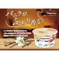 ハーゲンダッツ ジャパン [アイス] ミニカップ バニラ 110ml×36個 4976994205010（直送品）