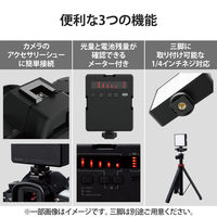 LED定常ライト 5段階調光 1/4インチネジ対応 USB給電 WEB会議 動画撮影 ブラック DE-L05BK 1個 エレコム